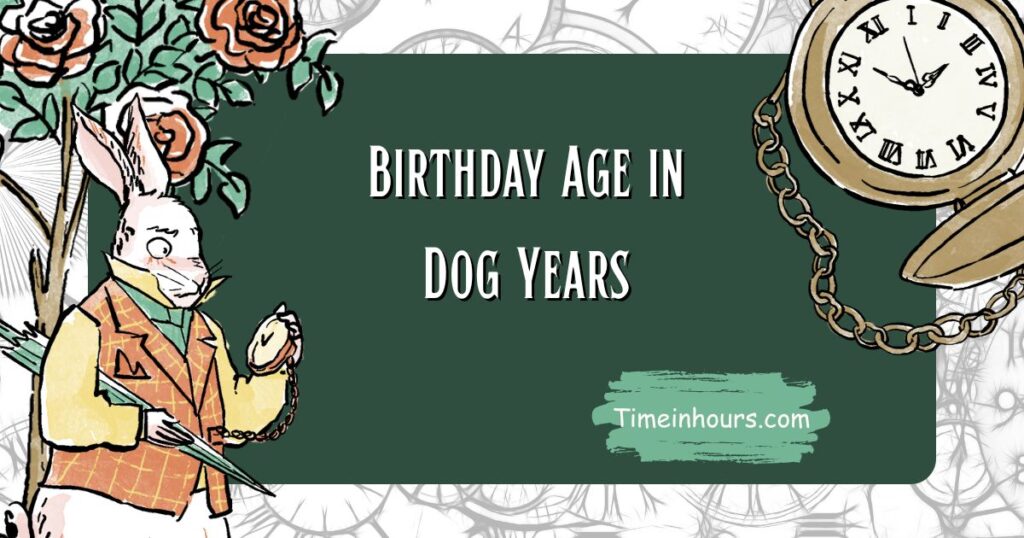 Birthday Age in Dog Years